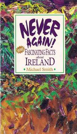 Never Again! book cover picture